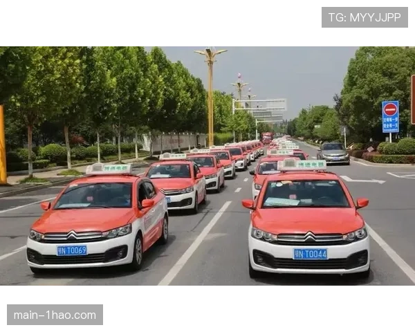 车队电台沟通策略重要 进站时机影响正赛结果